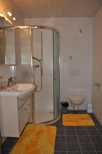 a bathroom with a shower and a sink and a toilet at Studio de Vacances Philipona in Granges