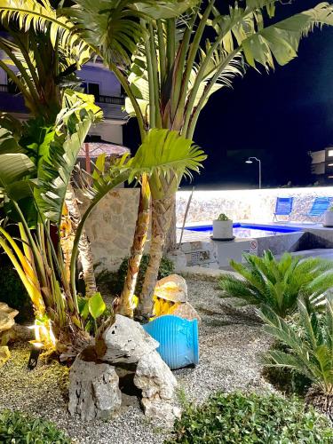 a couple of palm trees in a yard at Kostas Studios in Faliraki