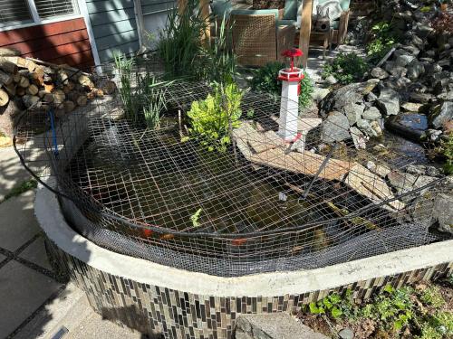 a garden with a bird cage in a yard at Illuminati Guest House in Victoria