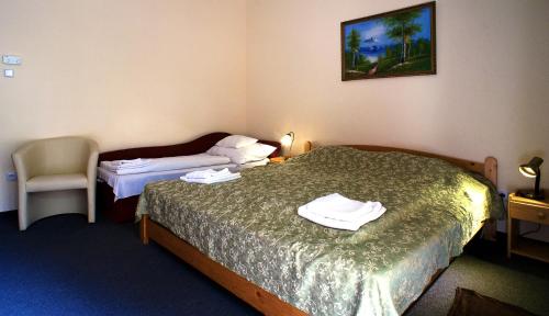 Gallery image of Hotel Hajnal in Mezőkövesd