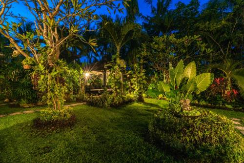 Κήπος έξω από το Tropical Oasis Lovina