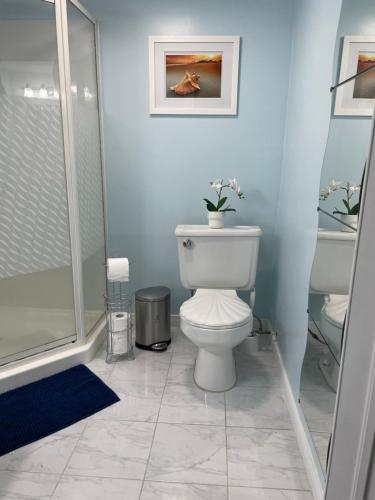 a bathroom with a toilet and a shower at Private Suite in Niagara Falls in Niagara Falls