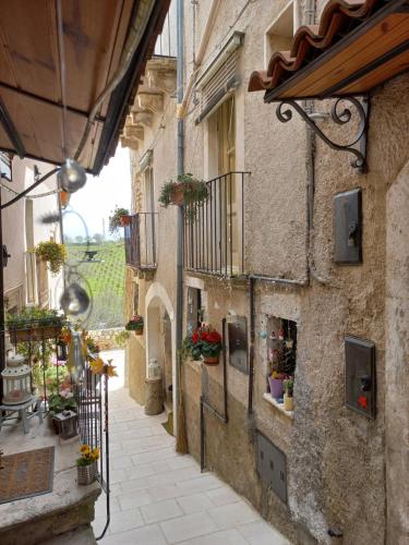 un callejón en un viejo pueblo con macetas en L'armonica di nonnoSandro, en Corfinio