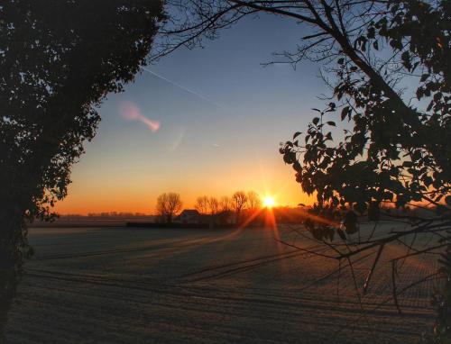 a sunset in a field with the sun setting at Gîte du Grand frêne in Orrouy