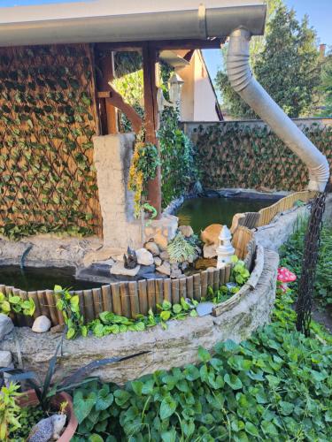 a small pond in a garden with a fountain at Nagyi Apartman Kecskemét in Kecskemét