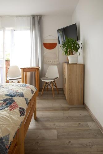 a bedroom with a bed and a tv and a plant at Pokoje Gościnne "SOSENKA" in Cisna
