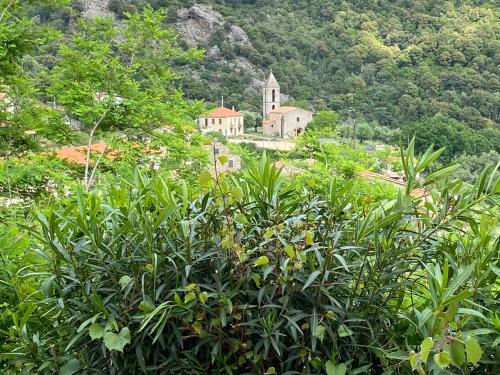 a church in the middle of a field of plants at Casa Versini in Balogna