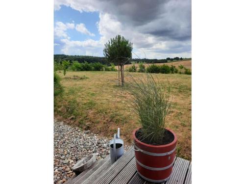 a potted plant sitting on a wooden table in a field at Tiny House "Ria" Comfortable holiday residence in Miekenhagen