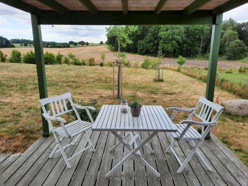a picnic table and two chairs on a wooden deck at Tiny House "Ria" Comfortable holiday residence in Miekenhagen