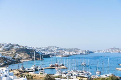 a view of a harbor with boats in the water at Rhenia Hotel in Tourlos
