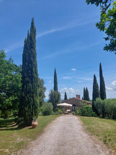 Φωτογραφία από το άλμπουμ του Podere Cerreto σε Casole dʼElsa