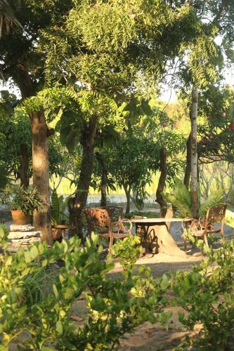 Jardín al aire libre en Monsoon Eco Resort - Whisky point Arugambay
