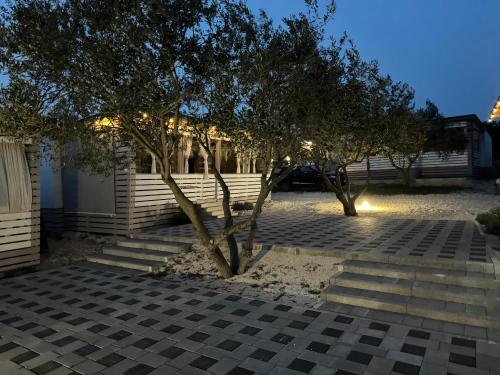 a patio with trees and stairs in front of a house at Marty House Drage in Drage