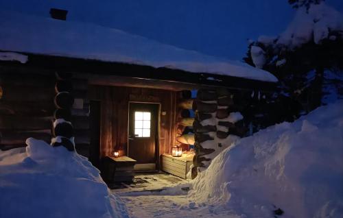 Revontuli 1 om vinteren