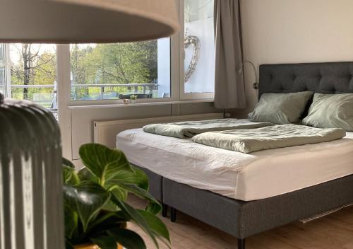 Cama en habitación con ventana en Hecht Ferienvermietung - Studio Buchfink mit Sauna und Schwimmbad, en Sankt Englmar