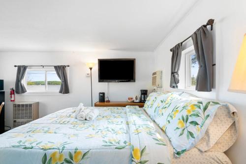 a bedroom with a bed and a flat screen tv at South Arm Retreats Motel @ Lake Charlevoix - A Family Suite in East Jordan