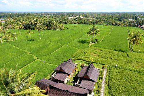 an aerial view of a resort with green fields and palm trees at Mathura Ubud in Ubud