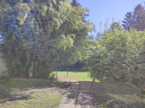 Zahrada ubytování Wohnung in St Poelten