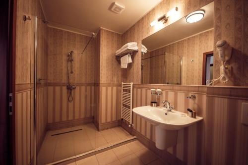 y baño con lavabo y ducha. en Hotel Kaštieľ Mojmírovce en Mojmírovce