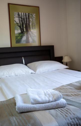 Ένα ή περισσότερα κρεβάτια σε δωμάτιο στο Aparthotel Strefa Premium