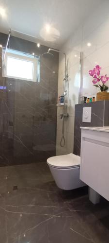 a bathroom with a shower and a toilet and a sink at Apartment Deluxe Livno in Livno