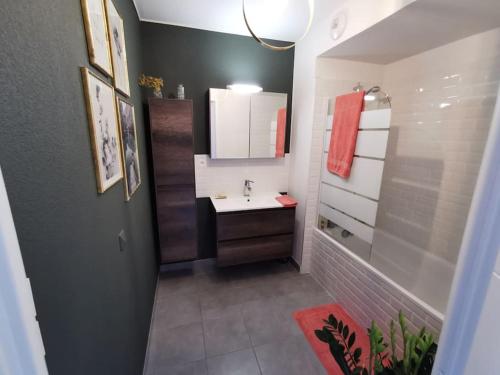 une petite salle de bain avec un lavabo et un miroir dans l'établissement Appartement moderne 6 personnes terrasse et jardin, à Castelnau-le-Lez