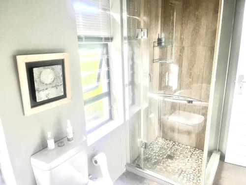 a bathroom with a shower with a toilet and a window at 3 Indigo in Hermanus
