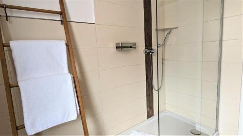 a shower with a glass door and a towel at Altstadthotel Goldene Kugel in Waren