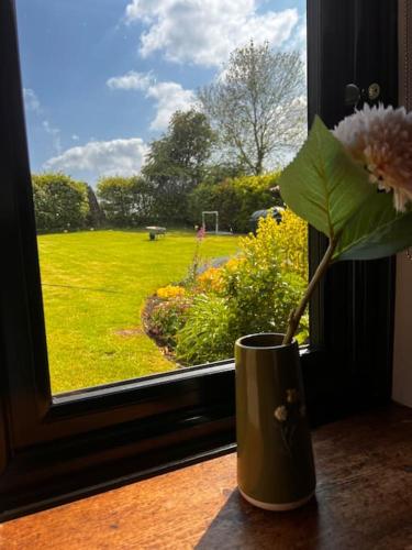 a vase with a flower sitting on a window sill at The Stables, Moulton St Mary in Norwich