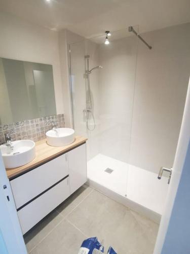 une salle de bain blanche avec deux lavabos et une douche dans l'établissement Appartement grande capacité Bayonne, à Bayonne