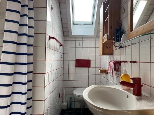 ein Bad mit einem Waschbecken und einem WC in der Unterkunft Ferienwohnung Das Nest in Schiltach