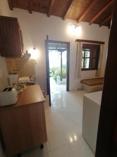 Dapur atau dapur kecil di Studios Ioanna Limnionas Samos