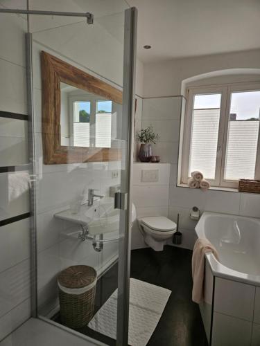 a bathroom with a toilet and a sink and a shower at Appartements "Siebter Himmel" & "Wolke Sieben" Rosendomizil in Malchow