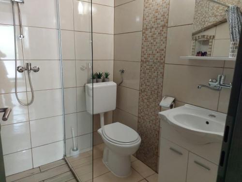 a bathroom with a toilet and a shower and a sink at Apartment Balinovaca in Skradin