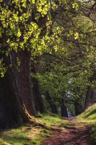 Naturlandschaft in der Nähe der Ferienwohnung