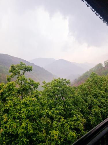 a view of trees and mountains from a vehicle at Marten's Wilderness Retreat in Lansdowne