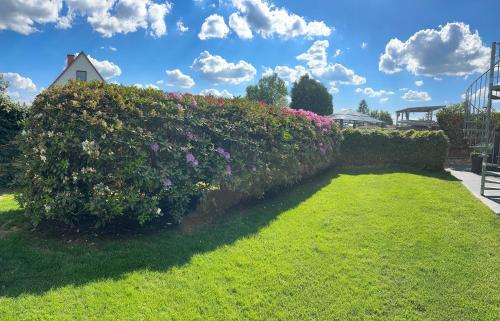 a hedge with flowers in a yard at 4 Sterne Ferienwohnung Schlossblick Sauna Pool Whirlpool pri in Braunfels