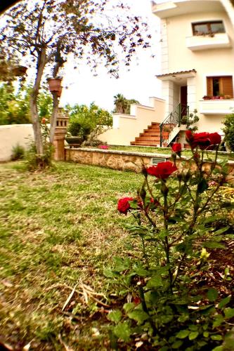 Taman di luar Maria's Sweet Home