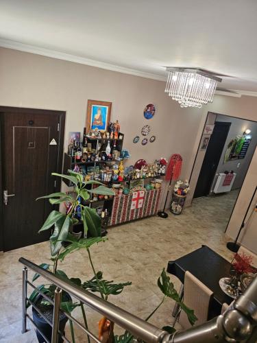 a living room with a plant and a chandelier at Guesthouse different in Tbilisi City