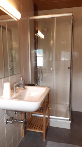 ein Bad mit einem Waschbecken und einer Dusche in der Unterkunft Doppelzimmer Herzogbauer in Saalfelden am Steinernen Meer