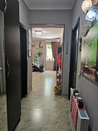 - un couloir avec une chambre dans l'établissement Guesthouse different, à Tbilissi