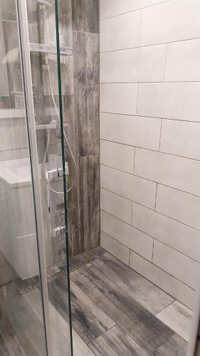 een douche met een glazen deur in een badkamer bij villa climatisée avec grande piscine in Saint-Laurent-de-la-Salanque