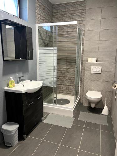 a bathroom with a shower and a sink and a toilet at Aniiza Apartman 2 in Örvényes