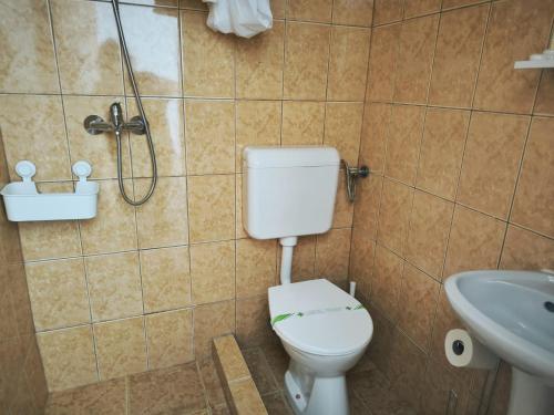 a bathroom with a toilet and a sink at Adriana Touristik Hostel 3 Stele Arad in Arad