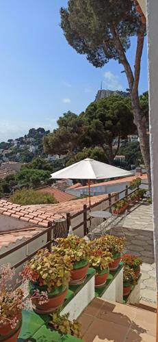 a row of potted plants sitting on a ledge at Estudio vistas al mar y a 5 minutos playa Estartit in L'Estartit