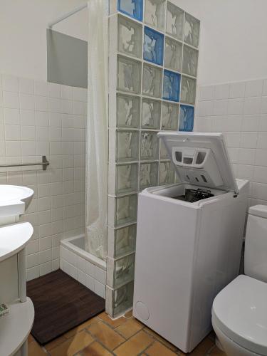 une salle de bain avec toilettes et une caisse enregistreuse dans l'établissement Solenzara charmant appartement vue mer panoramique, à Sari-Solenzara
