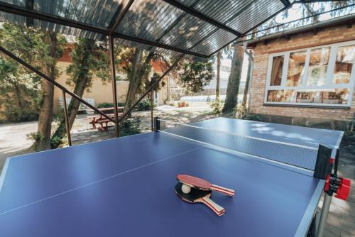 eine Tischtennisplatte mit einem Paddel darauf in der Unterkunft Villa Dorottya in Balatonföldvár
