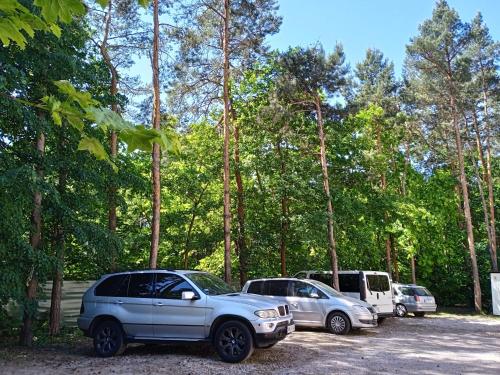 three cars parked in a parking lot next to trees at Lubelski in Warsaw