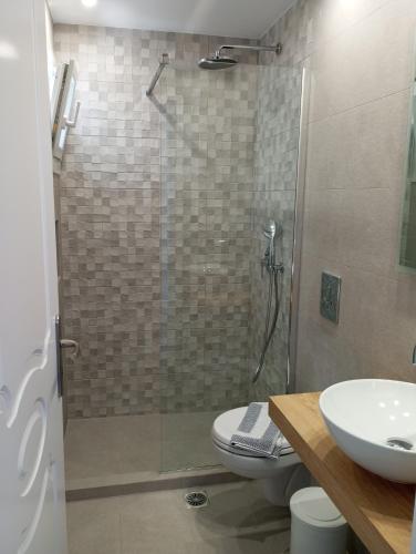 a bathroom with a shower and a toilet and a sink at Captain Stavros in Pollonia