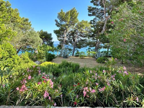 Galeriebild der Unterkunft Sea House Bol in Bol